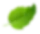 active-floating-leaf-2