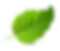 active-floating-leaf-2